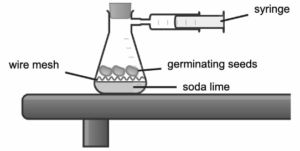 A respirometer is a device that can be used to measure the respiration rate of germinating seeds.

