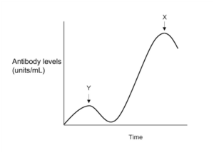  how the number of antibodies changed in an individual's blood over time.

