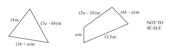 Algebra Image